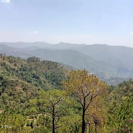 Pine Peak-3